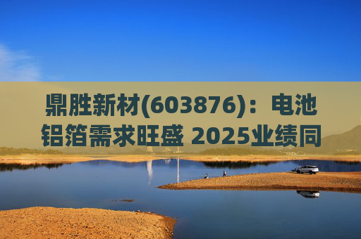 鼎胜新材(603876)：电池铝箔需求旺盛 2025业绩同比高增