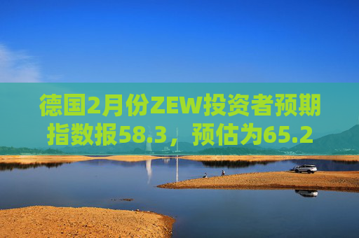 德国2月份ZEW投资者预期指数报58.3，预估为65.2