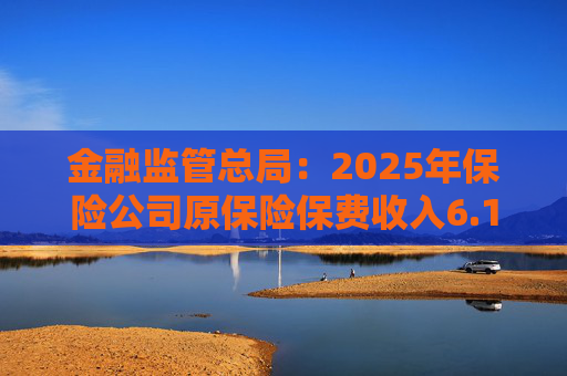 金融监管总局：2025年保险公司原保险保费收入6.1万亿元 同比增长7.4%