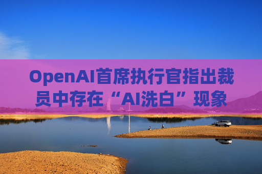 OpenAI首席执行官指出裁员中存在“AI洗白”现象