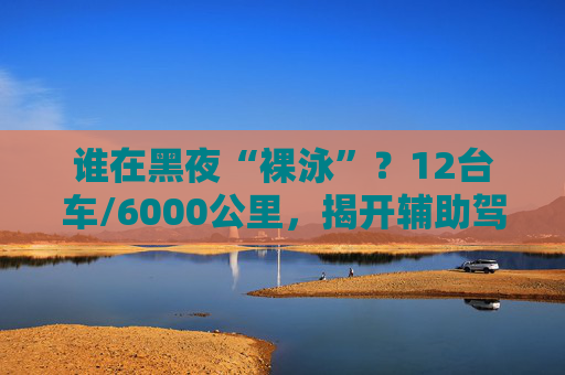 谁在黑夜“裸泳”？12台车/6000公里，揭开辅助驾驶的夜盲真相
