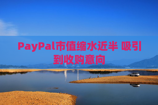 PayPal市值缩水近半 吸引到收购意向