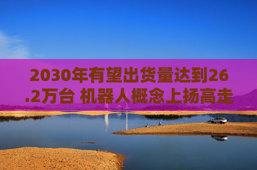 2030年有望出货量达到26.2万台 机器人概念上扬高走，百利科技等多股涨停
