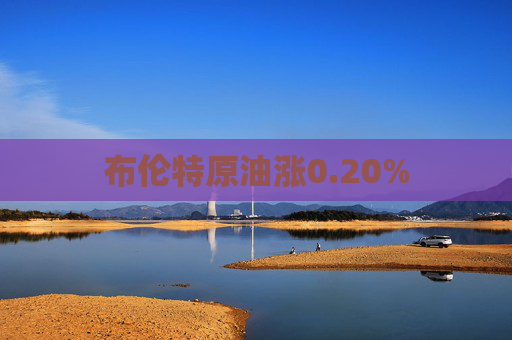 布伦特原油涨0.20%