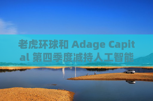 老虎环球和 Adage Capital 第四季度减持人工智能重量级公司股票