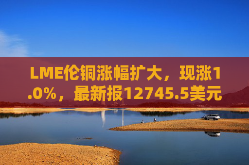 LME伦铜涨幅扩大，现涨1.0%，最新报12745.5美元/吨