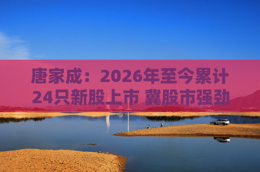唐家成：2026年至今累计24只新股上市 冀股市强劲气氛延续至整个马年