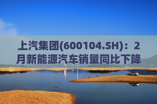 上汽集团(600104.SH)：2月新能源汽车销量同比下降17.18%