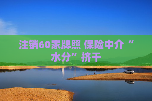 注销60家牌照 保险中介“水分”挤干