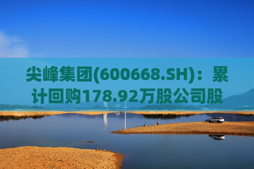 尖峰集团(600668.SH)：累计回购178.92万股公司股份
