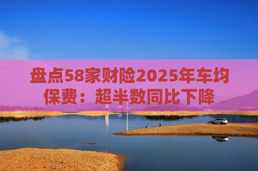 盘点58家财险2025年车均保费：超半数同比下降