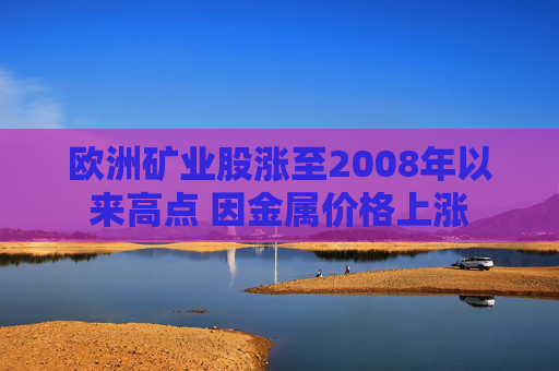 欧洲矿业股涨至2008年以来高点 因金属价格上涨