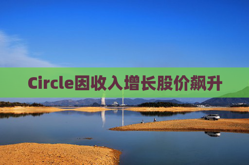 Circle因收入增长股价飙升
