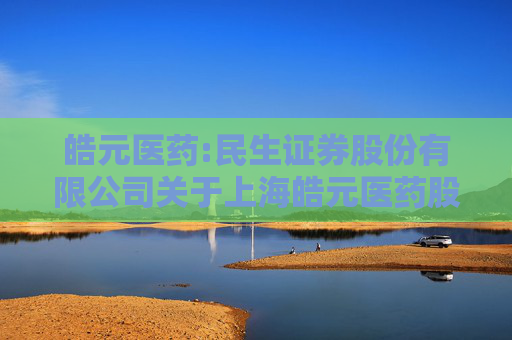 皓元医药:民生证券股份有限公司关于上海皓元医药股份有限公司向不特定对象发行可转换公司债券部分募投项目延期的核查意见
