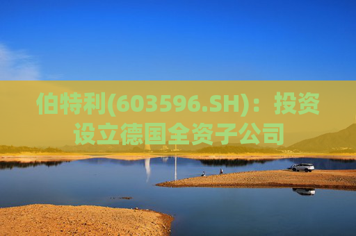 伯特利(603596.SH)：投资设立德国全资子公司