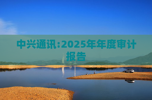 中兴通讯:2025年年度审计报告