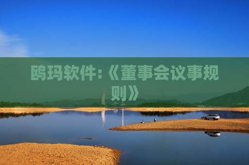 鸥玛软件:《董事会议事规则》