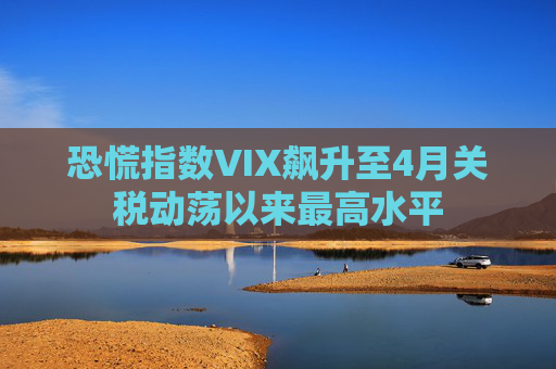 恐慌指数VIX飙升至4月关税动荡以来最高水平