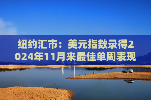 纽约汇市：美元指数录得2024年11月来最佳单周表现 加元走强