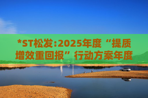 *ST松发:2025年度“提质增效重回报”行动方案年度评估报告暨2026年度“提质增效重回报”行动方案