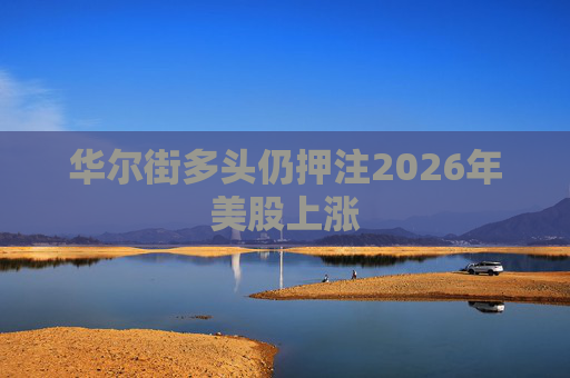 华尔街多头仍押注2026年美股上涨