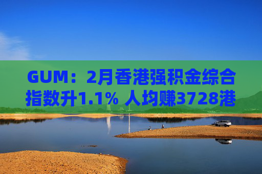GUM：2月香港强积金综合指数升1.1% 人均赚3728港元