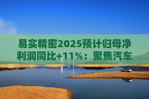 易实精密2025预计归母净利润同比+11%：聚焦汽车精密金属零部件研发销售，设立+增资子公司推进海外布局
