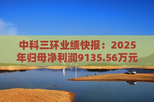 中科三环业绩快报：2025年归母净利润9135.56万元，同比增长660.80%