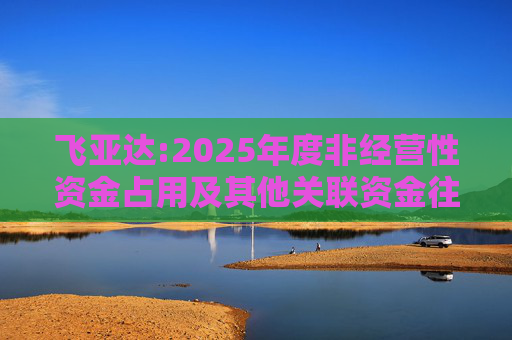 飞亚达:2025年度非经营性资金占用及其他关联资金往来情况汇总表