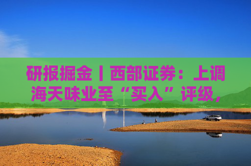 研报掘金丨西部证券：上调海天味业至“买入”评级，服务消费政策加码