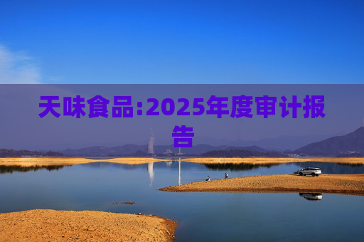 天味食品:2025年度审计报告