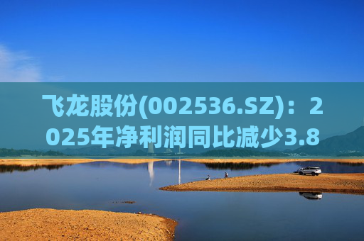 飞龙股份(002536.SZ)：2025年净利润同比减少3.85% 拟10股派3元