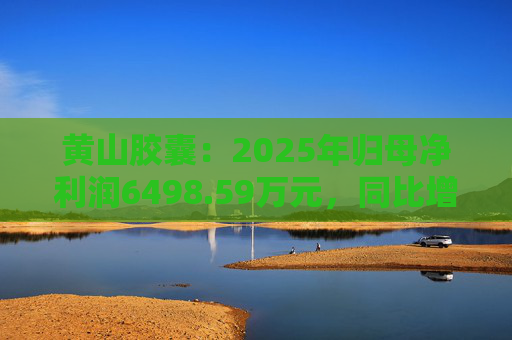 黄山胶囊：2025年归母净利润6498.59万元，同比增长31.94%