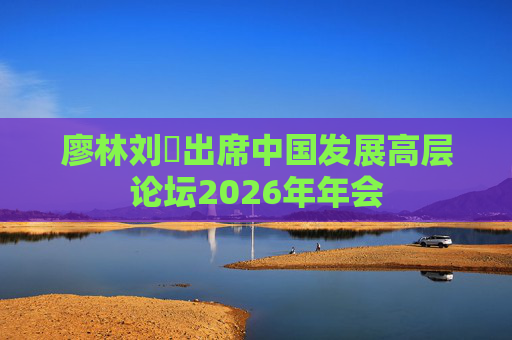 廖林刘珺出席中国发展高层论坛2026年年会