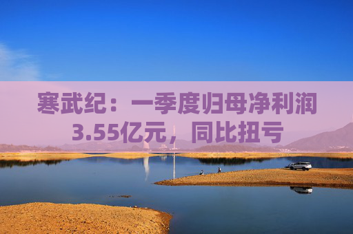 寒武纪：一季度归母净利润3.55亿元，同比扭亏  第1张
