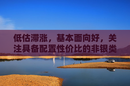 低估滞涨，基本面向好，关注具备配置性价比的非银类资产