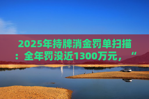 2025年持牌消金罚单扫描：全年罚没近1300万元，“合作管理、贷后风控、征信合规”三大领域成违规重灾区