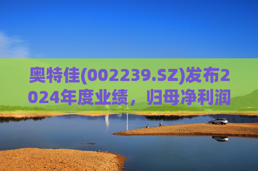 奥特佳(002239.SZ)发布2024年度业绩，归母净利润1.06亿元，同比增长44.41%  第1张
