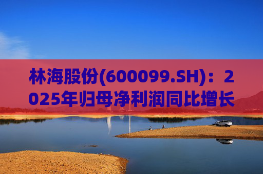 林海股份(600099.SH)：2025年归母净利润同比增长33.24%，每股拟派利0.045元