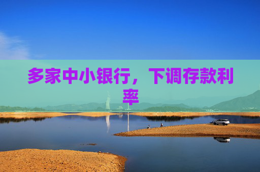 多家中小银行，下调存款利率