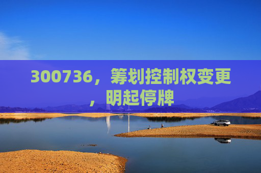 300736，筹划控制权变更，明起停牌