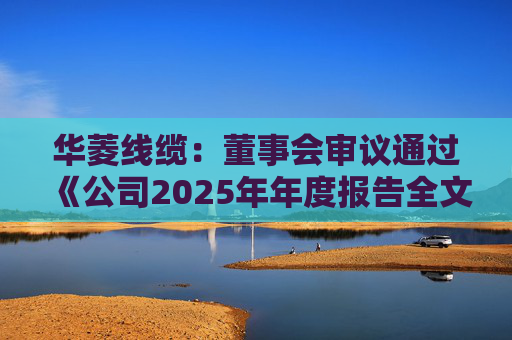 华菱线缆：董事会审议通过《公司2025年年度报告全文及其摘要》等多项议案
