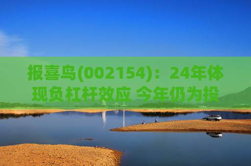 报喜鸟(002154)：24年体现负杠杆效应 今年仍为投入年