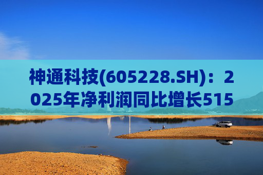 神通科技(605228.SH)：2025年净利润同比增长515.85%