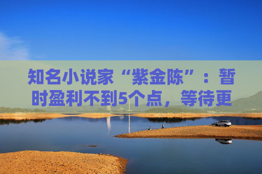 知名小说家“紫金陈”：暂时盈利不到5个点，等待更有把握的机会