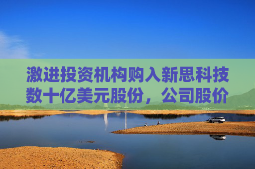 激进投资机构购入新思科技数十亿美元股份，公司股价大涨