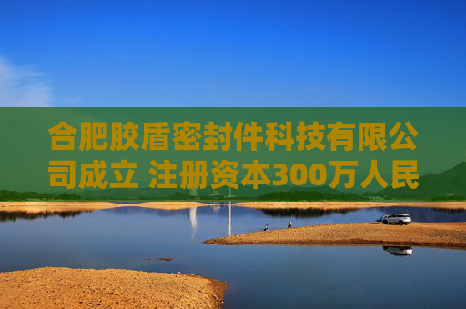 合肥胶盾密封件科技有限公司成立 注册资本300万人民币