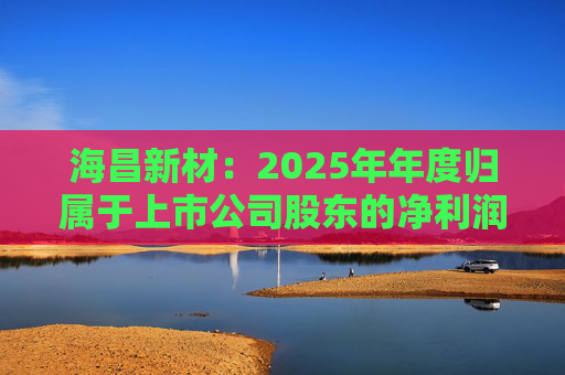 海昌新材：2025年年度归属于上市公司股东的净利润是55224078.48元