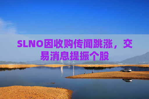 SLNO因收购传闻跳涨，交易消息提振个股
