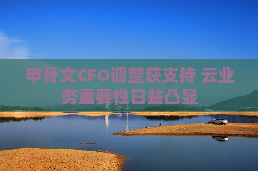 甲骨文CFO调整获支持 云业务重要性日益凸显